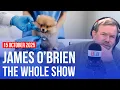 Download Lagu Why is the vet so expensive? | James O’Brien - The Whole Show
