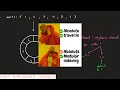 3423 Maximum Difference Between Adjacent Elements in a Circular Array - LeetCode