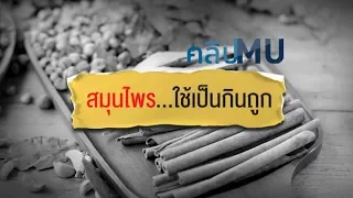  สมุนไพรไทยที่ใช้รักษาโรคต้องพิจารณาอะไรบ้างเพื่อให้ได้ผลและปลอดภัย 