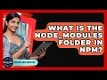 What Is The Node - modules Folder In Npm