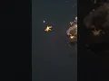 Tortoise Firework