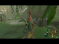 Zelda Breath Of The Wild Flown The Coop Guide