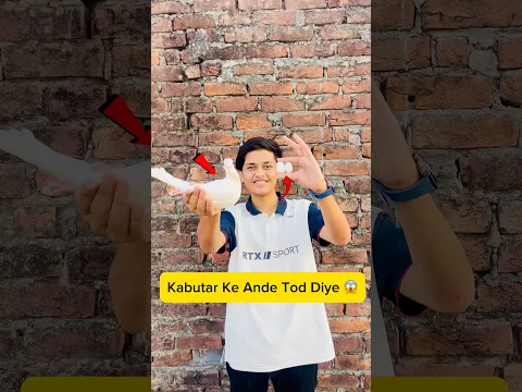 kabootar ke sare ande tod diye π #minivlog #vlogs