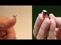 Download Lagu Meet the world's smallest bird | Cuba's \