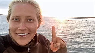 SEALS EVERYWHERE!!! Cuttyhunk Island