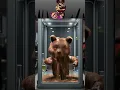 Download Lagu Masha \u0026 The Bear Sprunki OC Phase 7 - Masha Transform into Phase 7 Monster!