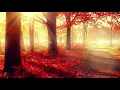 Wael Kfoury - Khedney Layk (slowed) | (وائل كفوري - خدني ليك (بطيء