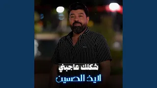 شكلك عاجبني دندنها
