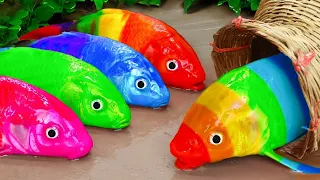 Amazing Catch Ornamental Fish In Giant Colorful Eggs, Goldfish, Black Guppy, Catfish, Baby Turtles