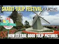 A Perfect Day at the Skagit Valley Tulip Festival RoozenGaarde Photography Tips