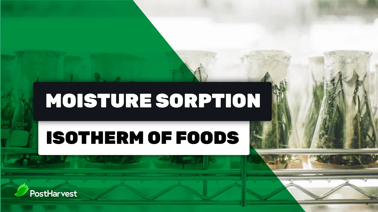 Moisture Sorption Isotherm of Foods