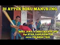 Download Lagu DI ATTUK BORU MANURUNG \