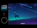 RIDDLER - I Surrender (feat. Madalina Cretu) [Lyrics] | Dance & EDM