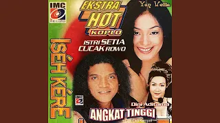 Download Istri Setia MP3