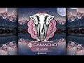 Download Lagu Henrique Camacho - Taj Mahal [185 BPM] (free download)