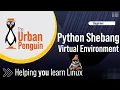 Setting the Correct Python Shebang for a Virtual Environment