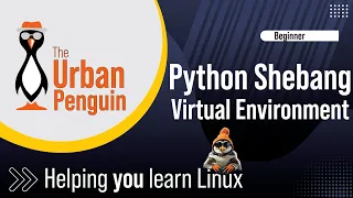Setting the Correct Python Shebang for a Virtual Environment