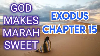 THE HOLY BIBLE EXODUS CHAPTER 15 KJV