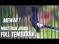 Download Lagu MASTERAN MURAI BATU FULL ISIAN TEMBAKAN MEWAH CILILIN KAPAS TEMBAK GEREJA TARUNG KENARI DLL