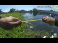 Seconds to Spare BSO Deputies Pull Elderly Woman from Sinking Car