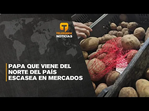 Papa que viene del norte del país escasea en mercados