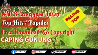 Download Instrumen Langgam Jawa Caping Gunung Free Download No Copyright Sound Backsound Youtube #mbakule88 MP3