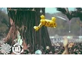 Download Lagu LOUD live @ Ozora Festival 2015 - Full Set [HD]
