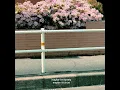 rachel chinouriri - maybe i'm lonely (lyrics)