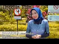 KOTA SAMARINDA LAGU GAMBUS TINGKILAN