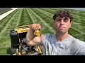 Cutting THICK Grass Mowing Vlog