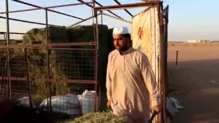 انا اسمي كومار اتي انشوده 