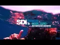 Download Lagu Vision, Sound and Temperature Underwater