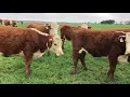 The Cattle Range Listing 902C545-201