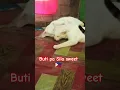Download Lagu Memeng\u0026Momong🇵🇭#travel #shortsfeed#shortsfeed #trendingshorts #trending#viral#viralvideo#shortvideo