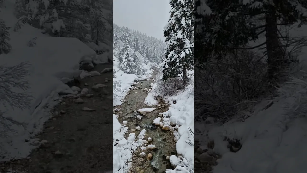 Snowy River