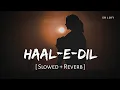 Lagu Haal-E-Dil (Slowed + Reverb) | Neeti Mohan, Himesh Reshammiya | Sanam Teri Kasam | SR Lofi