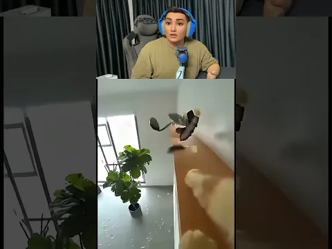 Kedi Evdeki Tüm Bardakları KIRDI!