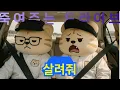Download Lagu [𝐏𝐋𝐀𝐘𝐋𝐈𝐒𝐓] 노래 열고 창문 틀어!!! 🎵🎤 |  이거 들으려고 아빠차 끌고 나옴 🚗 아빠 미안🙏 |  드라이브 플리 맛집  🎧  | Hoy! 🐯