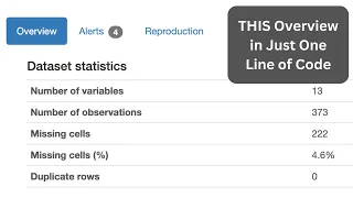 Python Quick DataFrame Overview with YData Profiling