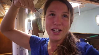 What’s Hidden Behind [Adventure #191]