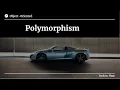 What is Polymorphism in Programming in 2020 brief defination of Polymorphism 2020