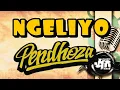 Download Lagu NGELIYO KARAOKE - PENDHOZA