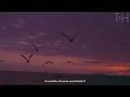 Trust The Universe - Alan Watts On Finding Zen
