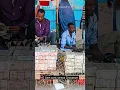 Download Lagu Gara -gara Bernafsu Cetak Uang Modal Dengkul, Zimbabwe Hancur!