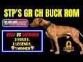 The Story of STP s GR CH BUCK ROM APBT HISTORY GAMEDOG LEGACY