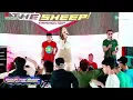 Download Lagu SURAT CINTA UNTUK STARLA EVIS - SHAUN THE SHEEP - HAPPY PARTY CLUSTER TEAM - BENTENG PORTUGIS JEPARA