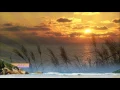 Download Lagu you and me- Sergey Grischuk- Ты со Мной -Сергей Грищук.