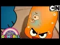Lagu Gumball | Een prinses die een domme pony probeert te temmen | De Pony | Cartoon Network