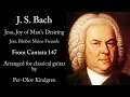 J. S. Bach: Jesu, Joy of Man's Desiring (from Cantata 147)  @Per-Olov Kindgren guitar