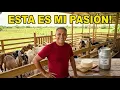 This Is What a Farm with Over 150 Nubian Goats Looks Like In the Dominican Countryside